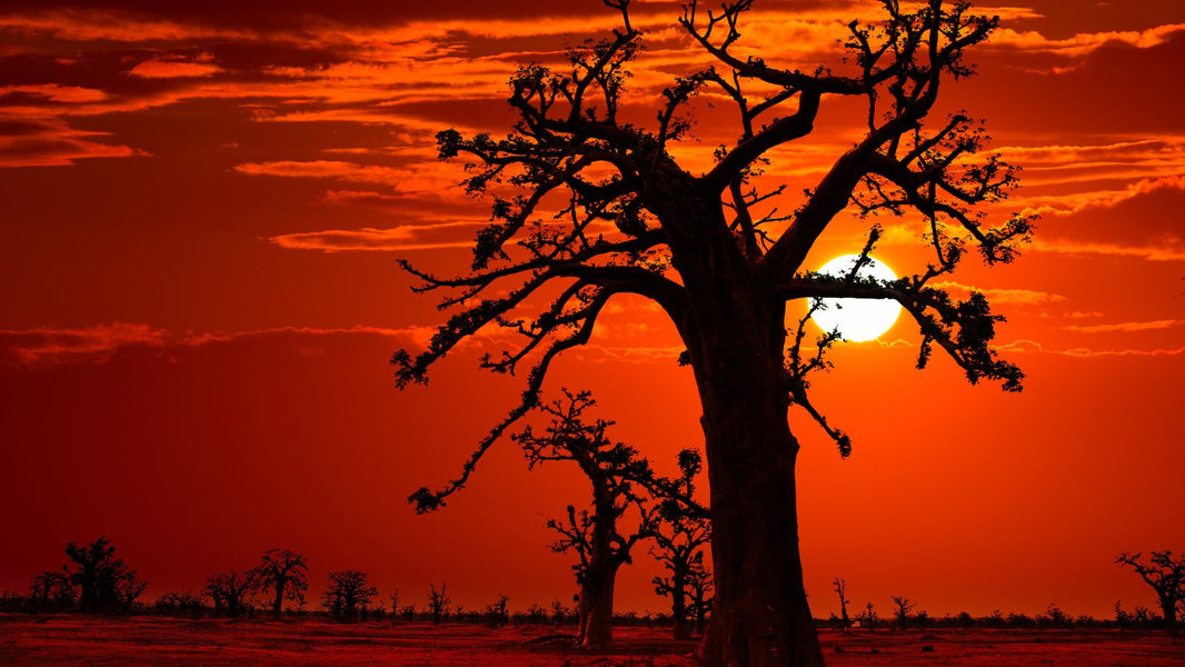 Comment assouplir un tissu africain sans l’abîmer ?